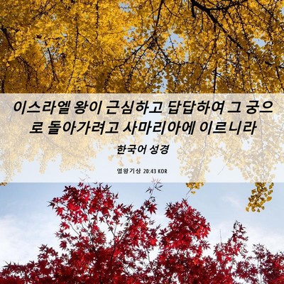 Picture 06 - 열왕기상 20:43 KOR - 이스라엘 왕이 근심하고 답답하여 그 - Bible Verse Picture