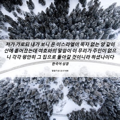 Picture 06 - 열왕기상 22:17 KOR - 저가 가로되 내가 보니 온 - Bible Verse Picture