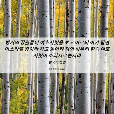 Picture 06 - 열왕기상 22:32 KOR - 병거의 장관들이 여호사밧을 보고 - Bible Verse Picture