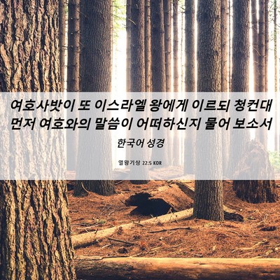 Picture 06 - 열왕기상 22:5 KOR - 여호사밧이 또 이스라엘 왕에게 - Bible Verse Picture