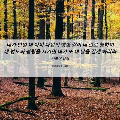 Picture 06 - 열왕기상 3:14 KOR - 네가 만일 네 아비 다윗의 행함 같이 - Bible Verse Picture