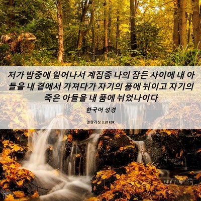 Picture 06 - 열왕기상 3:20 KOR - 저가 밤중에 일어나서 계집종 나의 - Bible Verse Picture