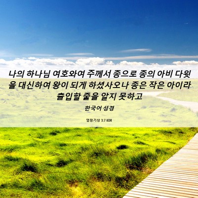 Picture 06 - 열왕기상 3:7 KOR - 나의 하나님 여호와여 주께서 종으로 - Bible Verse Picture
