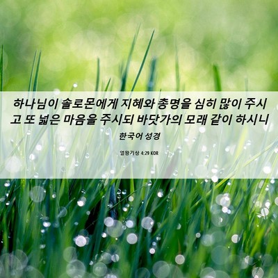 Picture 06 - 열왕기상 4:29 KOR - 하나님이 솔로몬에게 지혜와 총명을 - Bible Verse Picture