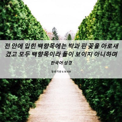 Picture 06 - 열왕기상 6:18 KOR - 전 안에 입힌 백향목에는 박과 핀 - Bible Verse Picture