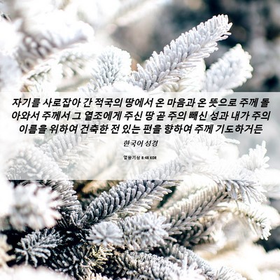Picture 06 - 열왕기상 8:48 KOR - 자기를 사로잡아 간 적국의 땅에서 - Bible Verse Picture