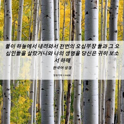 Picture 06 - 열왕기하 1:14 KOR - 불이 하늘에서 내려와서 전번의 - Bible Verse Picture