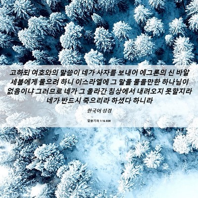 Picture 06 - 열왕기하 1:16 KOR - 고하되 여호와의 말씀이 네가 사자를 - Bible Verse Picture