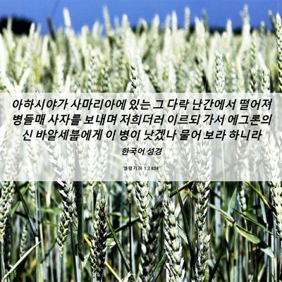Picture 06 - 열왕기하 1:2 KOR - 아하시야가 사마리아에 있는 그 다락 - Bible Verse Picture