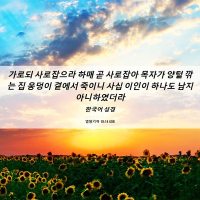 Picture 06 - 열왕기하 10:14 KOR - 가로되 사로잡으라 하매 곧 사로잡아 - Bible Verse Picture