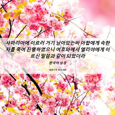 Picture 06 - 열왕기하 10:17 KOR - 사마리아에 이르러 거기 남아있는바 - Bible Verse Picture
