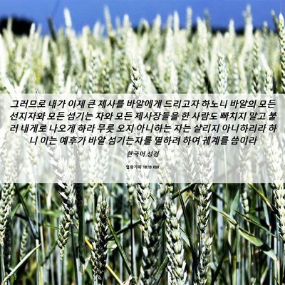 Picture 06 - 열왕기하 10:19 KOR - 그러므로 내가 이제 큰 제사를 - Bible Verse Picture
