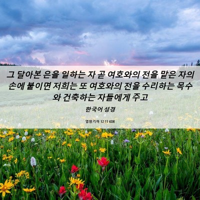 Picture 06 - 열왕기하 12:11 KOR - 그 달아본 은을 일하는 자 곧 - Bible Verse Picture