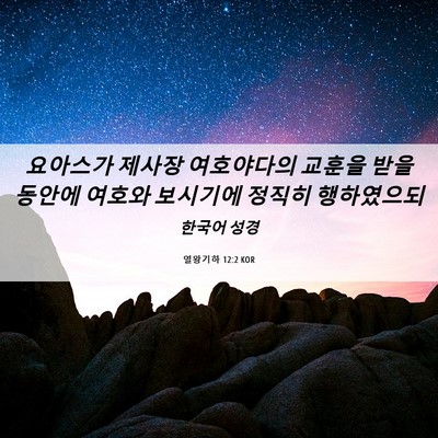 Picture 06 - 열왕기하 12:2 KOR - 요아스가 제사장 여호야다의 교훈을 - Bible Verse Picture