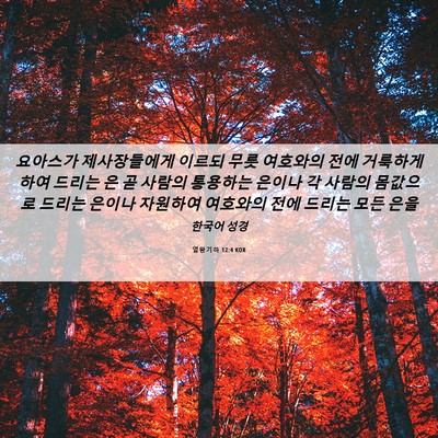 Picture 06 - 열왕기하 12:4 KOR - 요아스가 제사장들에게 이르되 무릇 - Bible Verse Picture