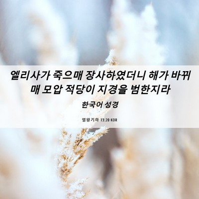 Picture 06 - 열왕기하 13:20 KOR - 엘리사가 죽으매 장사하였더니 해가 - Bible Verse Picture