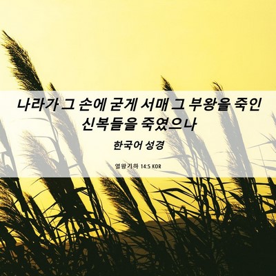 Picture 06 - 열왕기하 14:5 KOR - 나라가 그 손에 굳게 서매 그 부왕을 - Bible Verse Picture