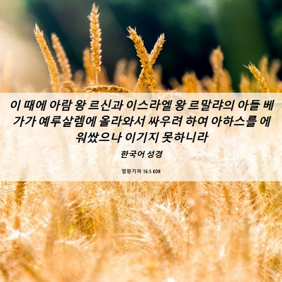 Picture 06 - 열왕기하 16:5 KOR - 이 때에 아람 왕 르신과 이스라엘 왕 - Bible Verse Picture