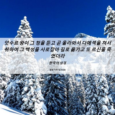 Picture 06 - 열왕기하 16:9 KOR - 앗수르 왕이 그 청을 듣고 곧 - Bible Verse Picture