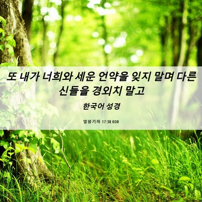 Picture 06 - 열왕기하 17:38 KOR - 또 내가 너희와 세운 언약을 잊지 - Bible Verse Picture