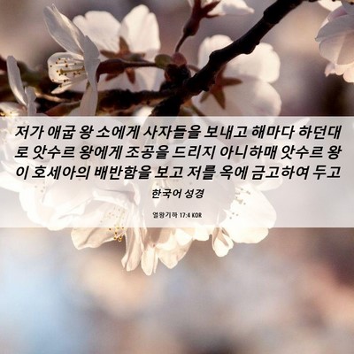 Picture 06 - 열왕기하 17:4 KOR - 저가 애굽 왕 소에게 사자들을 - Bible Verse Picture