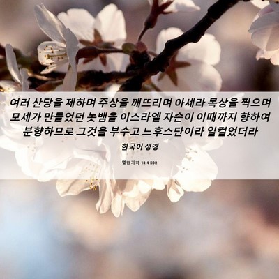 Picture 06 - 열왕기하 18:4 KOR - 여러 산당을 제하며 주상을 깨뜨리며 - Bible Verse Picture