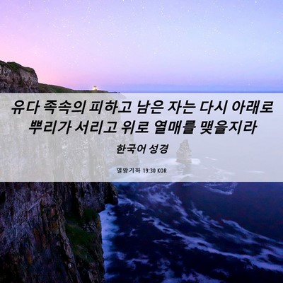 Picture 06 - 열왕기하 19:30 KOR - 유다 족속의 피하고 남은 자는 다시 - Bible Verse Picture