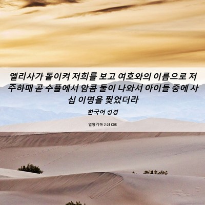 Picture 06 - 열왕기하 2:24 KOR - 엘리사가 돌이켜 저희를 보고 - Bible Verse Picture