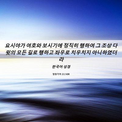 Picture 06 - 열왕기하 22:2 KOR - 요시야가 여호와 보시기에 정직히 - Bible Verse Picture