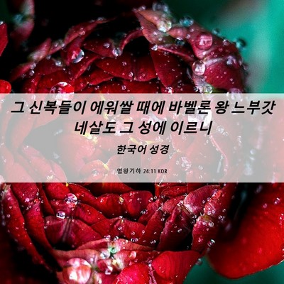 Picture 06 - 열왕기하 24:11 KOR - 그 신복들이 에워쌀 때에 바벨론 왕 - Bible Verse Picture