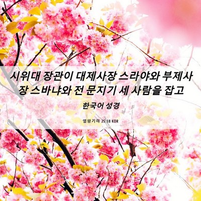 Picture 06 - 열왕기하 25:18 KOR - 시위대 장관이 대제사장 스라야와 - Bible Verse Picture