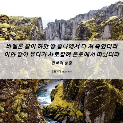 Picture 06 - 열왕기하 25:21 KOR - 바벨론 왕이 하맛 땅 립나에서 다 쳐 - Bible Verse Picture