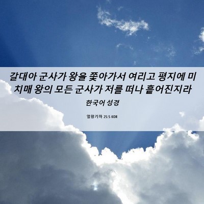Picture 06 - 열왕기하 25:5 KOR - 갈대아 군사가 왕을 쫓아가서 여리고 - Bible Verse Picture