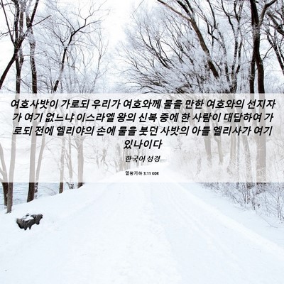 Picture 06 - 열왕기하 3:11 KOR - 여호사밧이 가로되 우리가 여호와께 - Bible Verse Picture