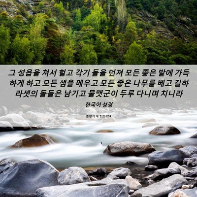 Picture 06 - 열왕기하 3:25 KOR - 그 성읍을 쳐서 헐고 각기 돌을 던져 - Bible Verse Picture