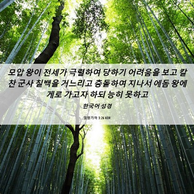 Picture 06 - 열왕기하 3:26 KOR - 모압 왕이 전세가 극렬하여 당하기 - Bible Verse Picture