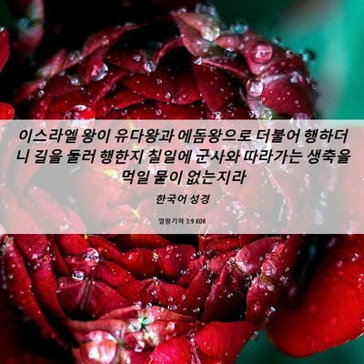 Picture 06 - 열왕기하 3:9 KOR - 이스라엘 왕이 유다왕과 에돔왕으로 - Bible Verse Picture