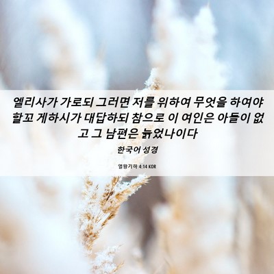 Picture 06 - 열왕기하 4:14 KOR - 엘리사가 가로되 그러면 저를 위하여 - Bible Verse Picture