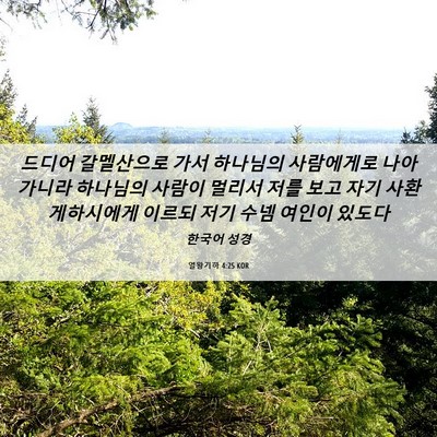 Picture 06 - 열왕기하 4:25 KOR - 드디어 갈멜산으로 가서 하나님의 - Bible Verse Picture