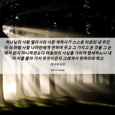 Picture 06 - 열왕기하 5:20 KOR - 하나님의 사람 엘리사의 사환 - Bible Verse Picture