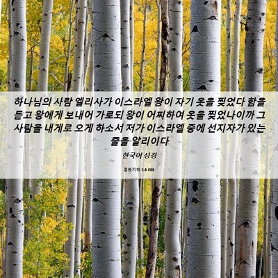 Picture 06 - 열왕기하 5:8 KOR - 하나님의 사람 엘리사가 이스라엘 - Bible Verse Picture