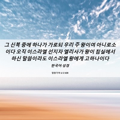 Picture 06 - 열왕기하 6:12 KOR - 그 신복 중에 하나가 가로되 우리 주 - Bible Verse Picture