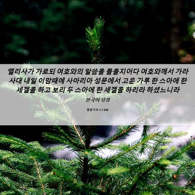 Picture 06 - 열왕기하 7:1 KOR - 엘리사가 가로되 여호와의 말씀을 - Bible Verse Picture
