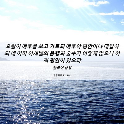 Picture 06 - 열왕기하 9:22 KOR - 요람이 예후를 보고 가로되 예후야 - Bible Verse Picture
