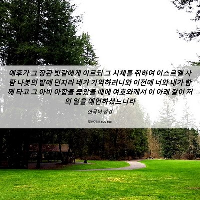 Picture 06 - 열왕기하 9:25 KOR - 예후가 그 장관 빗갈에게 이르되 그 - Bible Verse Picture