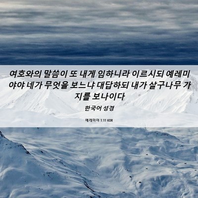 Picture 06 - 예레미야 1:11 KOR - 여호와의 말씀이 또 내게 임하니라 - Bible Verse Picture