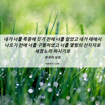 Picture 06 - 예레미야 1:5 KOR - 내가 너를 복중에 짓기 전에 너를 - Bible Verse Picture