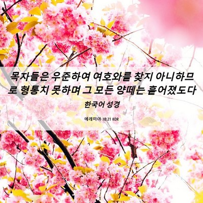 Picture 06 - 예레미야 10:21 KOR - 목자들은 우준하여 여호와를 찾지 - Bible Verse Picture