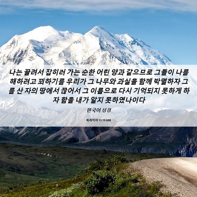 Picture 06 - 예레미야 11:19 KOR - 나는 끌려서 잡히러 가는 순한 어린 - Bible Verse Picture