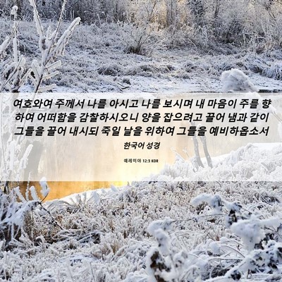 Picture 06 - 예레미야 12:3 KOR - 여호와여 주께서 나를 아시고 나를 - Bible Verse Picture